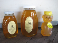 Babcock's Apiary honey.