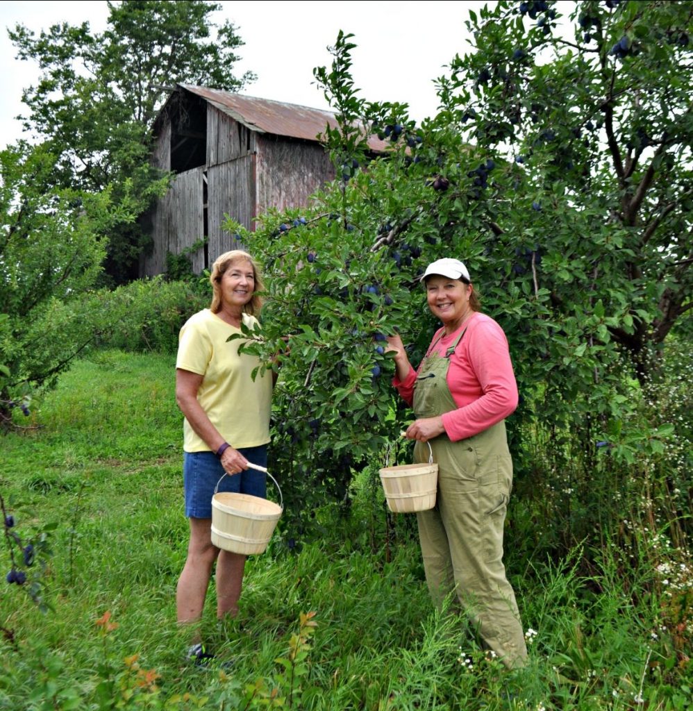 The Farm Family - Corey Lake Orchards - Three Rivers, Michigan