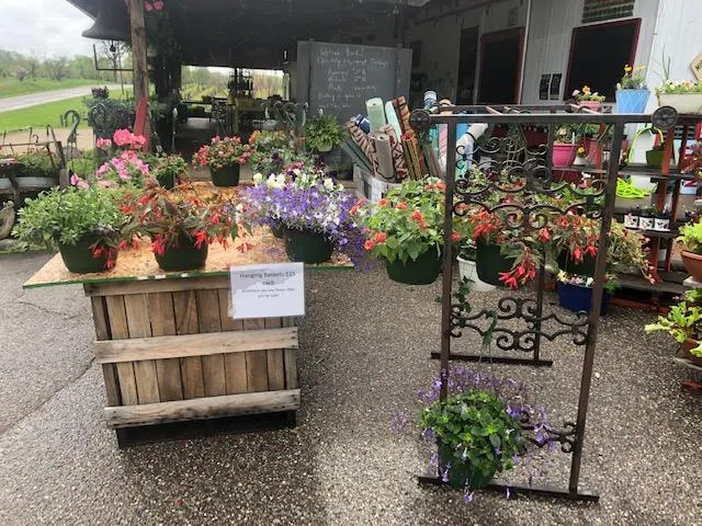 hanging baskets